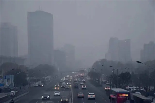 图片细节